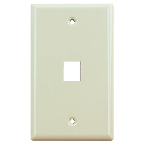 RIGID Single Gang 1-Port Wallplate (8871) (50364)