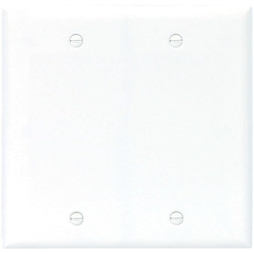 Two-Gang Blank Cover Plate